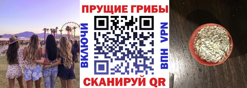 MEGA tor  продажа наркотиков  Енисейск  Галлюциногенные грибы Magic Shrooms 