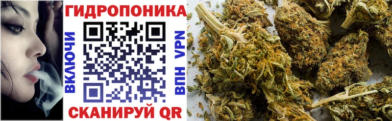 как найти наркотики  Енисейск  mega зеркало  Бошки Шишки план 